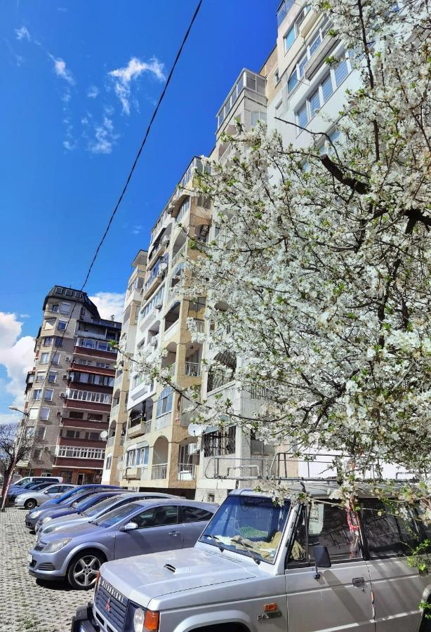 дом анести Apartment